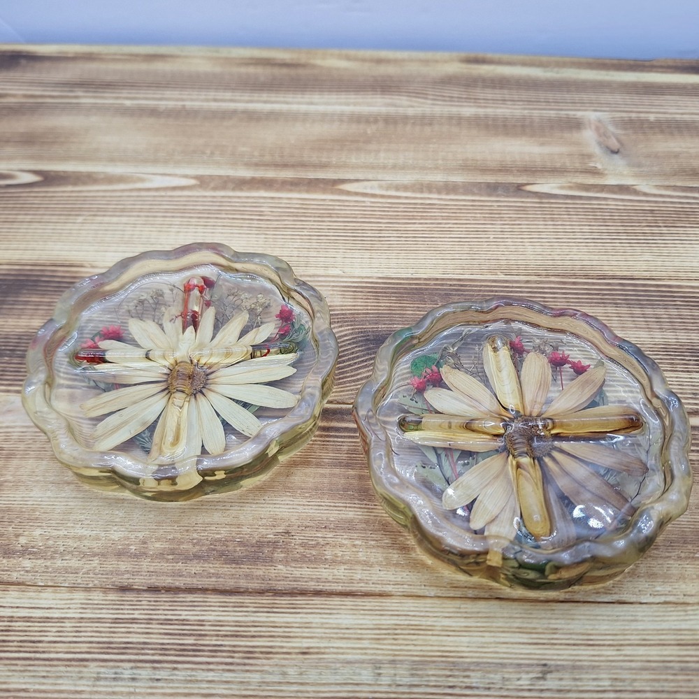Lot of 2 Vintage Daisies Lucite Coasters Real Pressed Flowers Hippie McM‎ Ribbed